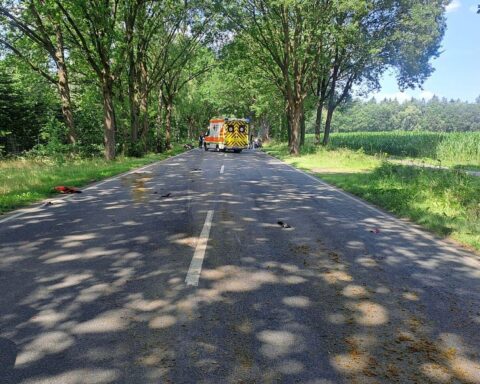 Motorradunfall auf der L124 bei Ohrensen: beschädigte Honda, Reh am Baum, abgesperrte Straße.