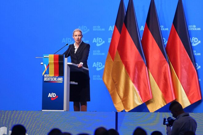 Politologe: Weidels Macht in der AfD ist begrenzt