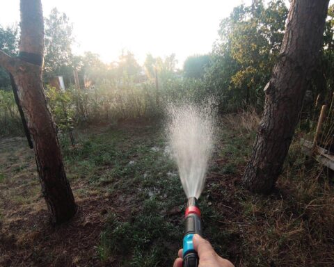 Rasen wird im Archiv mit Wasser besprengt, Thema Wassermangel und Sparmaßnahmen in Deutschland.