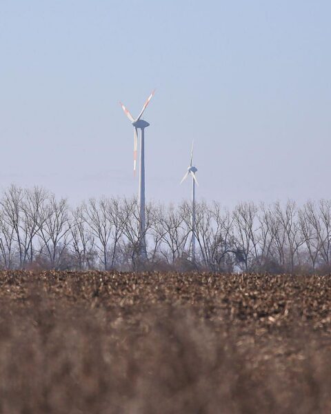 Windräder im Archiv: SPD-Kritik an Energiewende, Netzausbaukosten und Ostdeutschland-Benachteiligung.