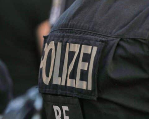 Schwerer Wildunfall: Reh kollidiert mit Auto, beschädigt Windschutzscheibe eines Lkw; Polizei und Rettungskräfte vor Ort.