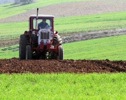 Bauer mit Traktor (Archiv) auf dem Feld, symbolisiert Sojaanbauwachstum in Deutschland.