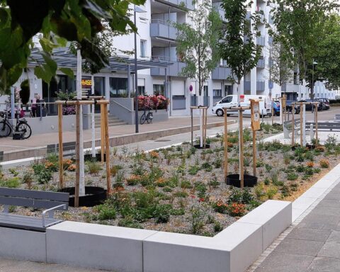 Feierliche Einweihung eines grünen Stadtplatzes mit Stauden, Bäumen und Sitzgelegenheiten in Ulm.