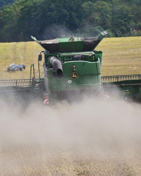 Mähdrescher im Archiv: Studie zu Ernährungswende senkt Viehbestand, Flächenverbrauch und Treibhausgasemissionen.