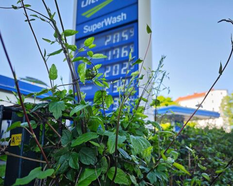 Tankstelle mit Preisanzeige, die steigende Spritpreise symbolisiert, Enttäuschung der Verbraucher gezeigt.
