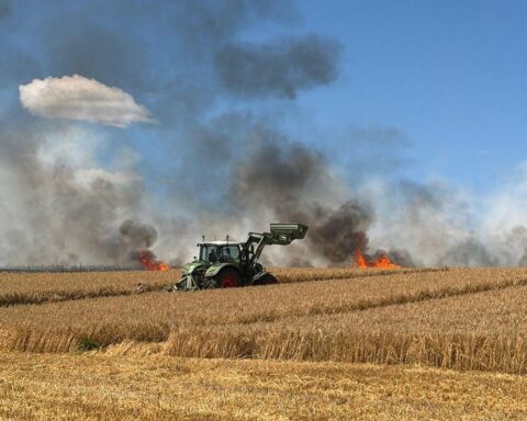 Feuerwehr löscht Brand eines Feldes nach Defekt am Mähdrescher nahe der K617 bei Harriehausen.