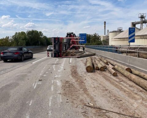 Schwerer Unfall auf der A60 an der Weisenauer Brücke: umgekippter Lkw, Baumstämme auf Fahrbahn und Fahrradweg.