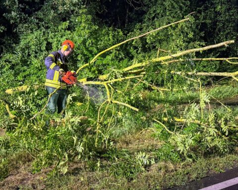 Feuerwehr im Einsatz: umgestürzter Baum blockiert Straße, Starkregen führt zu Wasserlagen und Abpumparbeiten.