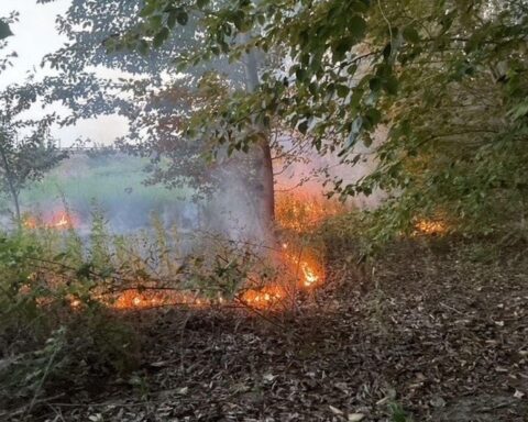 Feuerwehr löscht Vegetationsbrand: brennender Grasstreifen bei der Brackeler Straße, mit Löschfahrzeugen und Löscharbeiten.