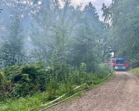 Feuerwehrfahrzeug im Einsatz, Landschaft mit Vegetationsbrand, Einsatzkräfte kämpfen gegen Flammen.