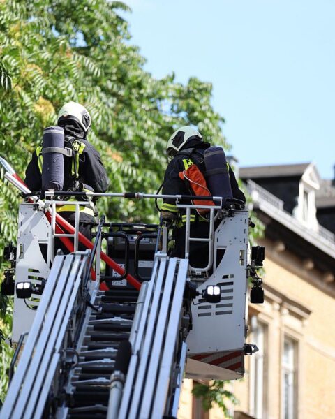 Feuerwehr und Rettungsdienst nach Verkehrsunfall: Pkw kollidiert, Fahrer wich Wildschwein aus.