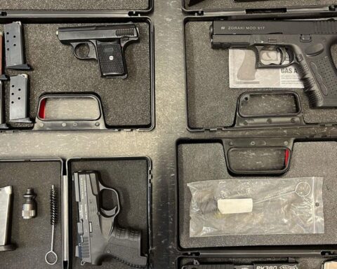 Sichergestellte Waffen, Munition und Cannabis-Pflanzen bei der Polizei Wuppertal (Archivfoto).
