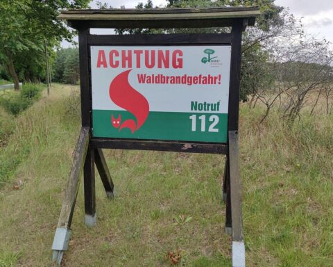 Ein Archivfoto mit Warnhinweis zur Waldbrandgefahr: Experte empfiehlt Mischwald mit Eichen.