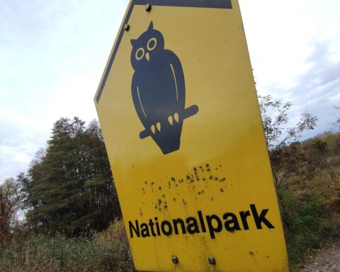 Nationalpark mit Feuerrauch und Einsatzkräfte, kritisiert wegen untauglicher Löschstrategie im Müritz-Nationalpark.