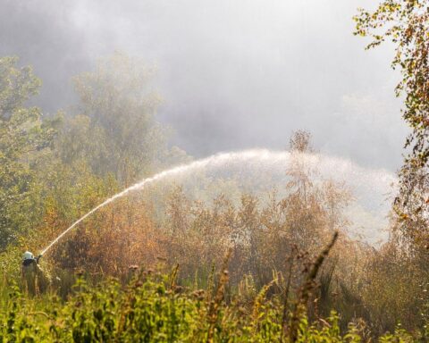 Feuerwehr Iserlohn bekämpft Waldbrand in Letmathe/Honsel; starke Rauchentwicklung, Löschfahrzeuge und Schlauchleitung.