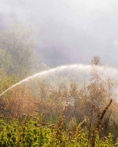 Feuerwehr Iserlohn bekämpft Waldbrand in Letmathe/Honsel; starke Rauchentwicklung, Löschfahrzeuge und Schlauchleitung.