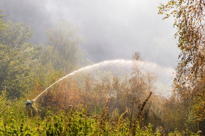 Feuerwehr Iserlohn bekämpft Waldbrand in Letmathe/Honsel; starke Rauchentwicklung, Löschfahrzeuge und Schlauchleitung.