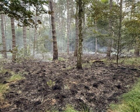 Waldbrand in Rösrath: Feuerwehr im Einsatz, Hubschrauber und Löscharbeiten sichtbar.