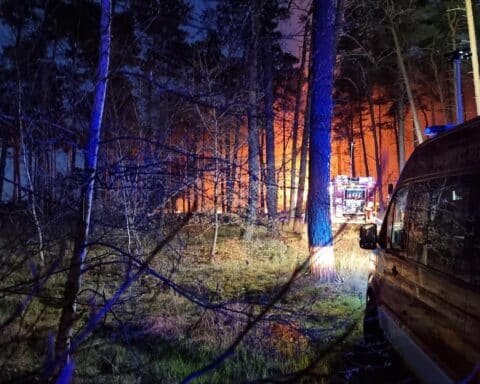 Warnhinweis zur Waldbrandgefahr Stufe 5 in Dessau-Roßlau, Waldbrand-Archivfoto.