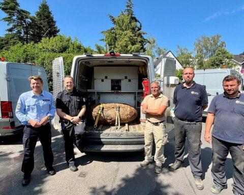 Entschärfung einer amerikanischen Bombe in Köln: Expertenteam, Ordnungsamt und Evakuierungsmaßnahmen im Fokus.