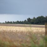 Gewitter mit Starkregen und Hagel über Süddeutschland, Kaltfront überquert; Regenwolken, Böen und Unwetter-Atmosphäre.