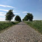 Sonnige Alleenstraße in Baden-Württemberg bei sommerlicher Hitze; trockener Himmel, warme Temperaturen.