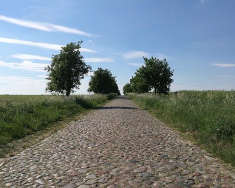 Sonnige Alleenstraße in Baden-Württemberg bei sommerlicher Hitze; trockener Himmel, warme Temperaturen.