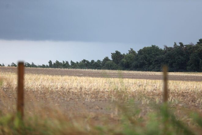 Wetterbericht für Mecklenburg-Vorpommern (30.07.2026)