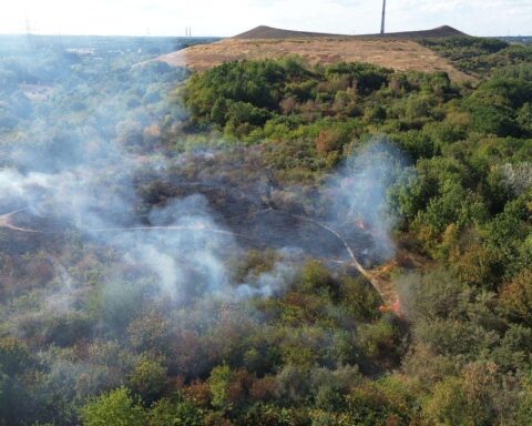Feuerwehr löscht großen Flächenbrand auf Halde 22 in Gladbeck; Rauchentwicklung und Einsatzkräfte vor Ort.