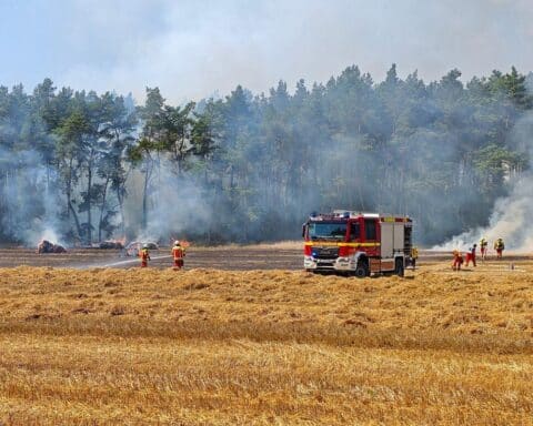 Feuerwehr im Einsatz bei einem Flächenbrand während der Strohernte nahe Adendorf; Waldbrand droht, wird eingedämmt.
