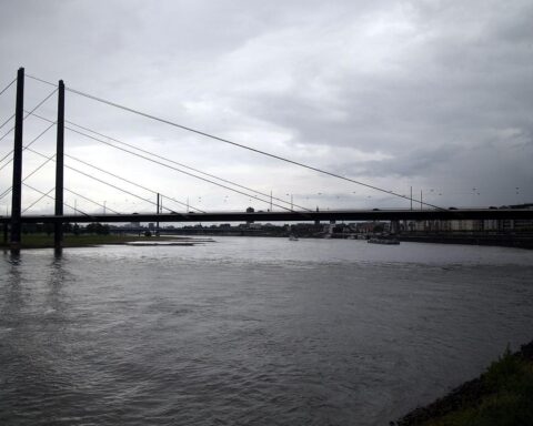 Niedrigwasser am Rhein: Rheinkniebrücke bei Düsseldorf, Warnung vor weniger Gütertransport durch Binnenschiffe.
