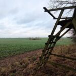 Jägersitz im Archiv: Deutscher Jagdverband fordert Statistik-Trennung zwischen legalen und illegalen Waffen.
