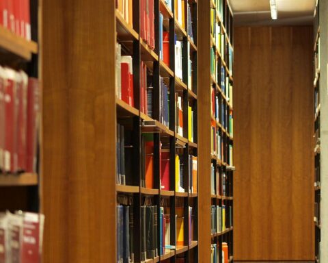 Eine Bibliothek mit Büchern im Archiv: Professoren sollen klare Sicherheitsregeln für KI- und Drohnenforschung erhalten.
