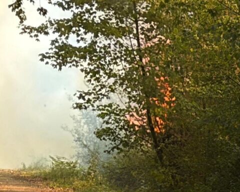 Feuerwehr im Einsatz: Waldbrand bei Oberaußem, Rauch und Flammen an der Landstraße 91 (Archiv).