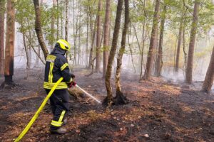Feuerwehr im Wald im Einsatz: Drohne sucht Brandherd, Rauchentwicklung, Löscharbeiten mit Rohren und Werkzeugen.