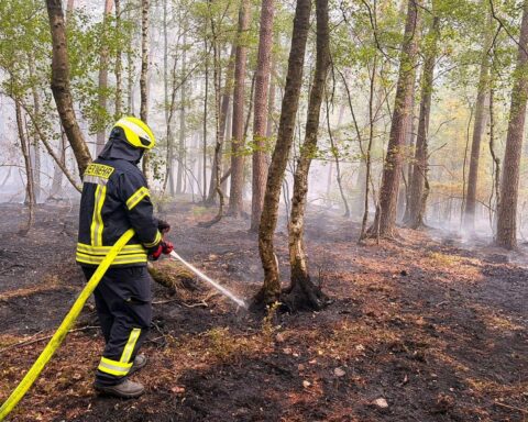 Feuerwehr im Wald im Einsatz: Drohne sucht Brandherd, Rauchentwicklung, Löscharbeiten mit Rohren und Werkzeugen.