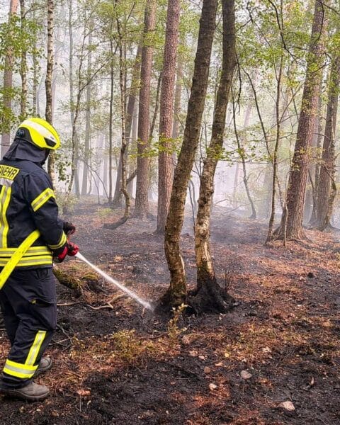 Feuerwehr im Wald im Einsatz: Drohne sucht Brandherd, Rauchentwicklung, Löscharbeiten mit Rohren und Werkzeugen.