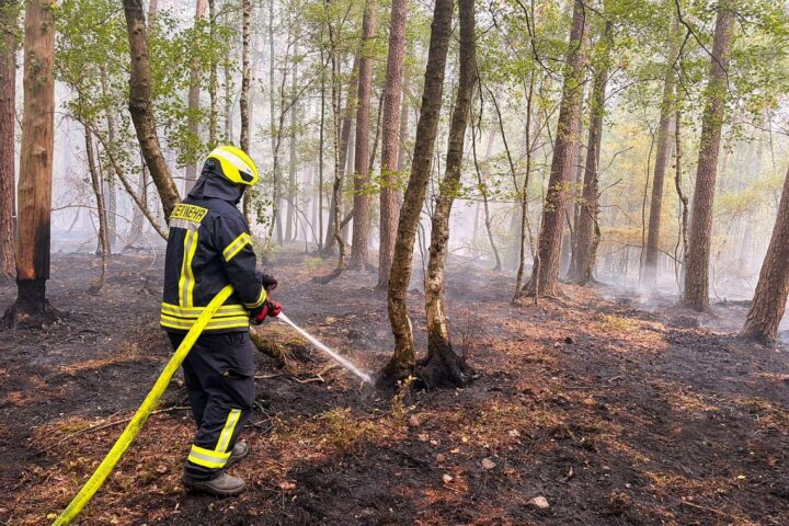 Feuerwehr im Wald im Einsatz: Drohne sucht Brandherd, Rauchentwicklung, Löscharbeiten mit Rohren und Werkzeugen.