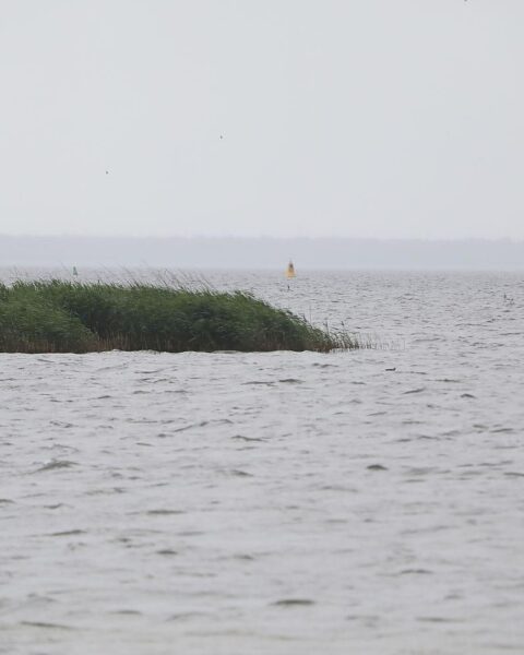 Stettiner Haff bei wechselhaftem Wetter: Schauer, Gewitterwolken und schwül-warme Atmosphäre über dem Wasser.